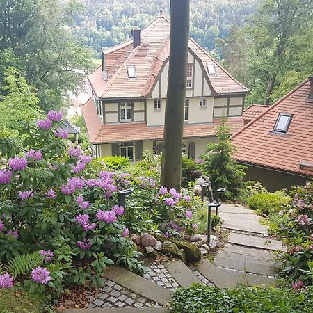 Villa Sonnenburg Bad Schandau Luaran gambar