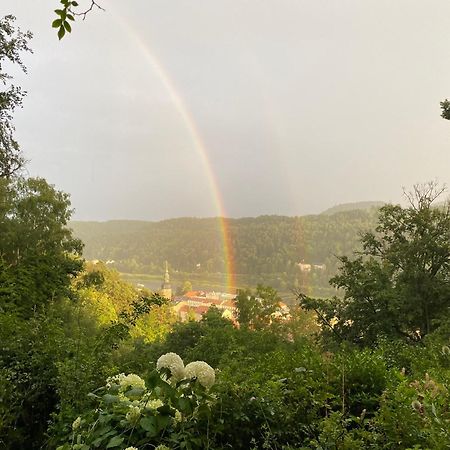 Villa Sonnenburg Bad Schandau Luaran gambar