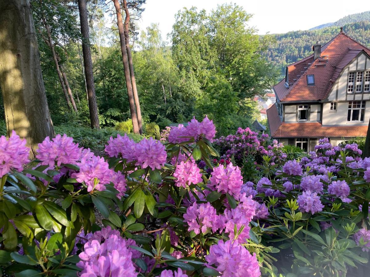 Villa Sonnenburg Bad Schandau Luaran gambar